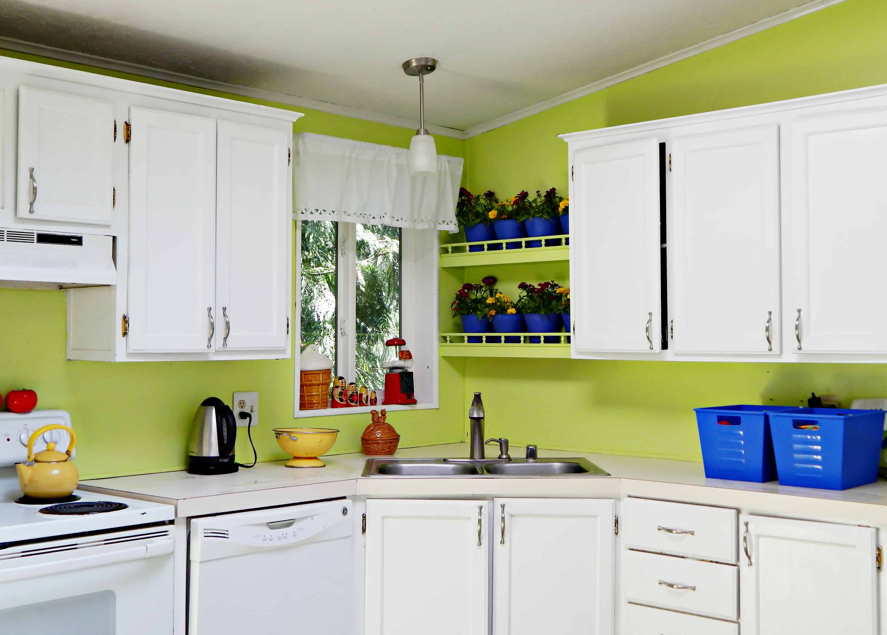 potted plants in the corner of the kitchen