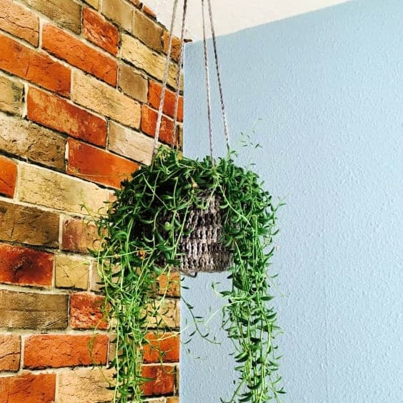 diy crochet plant hanger
