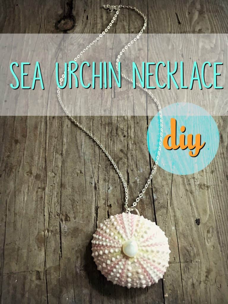 Sea Urchin Necklace 7