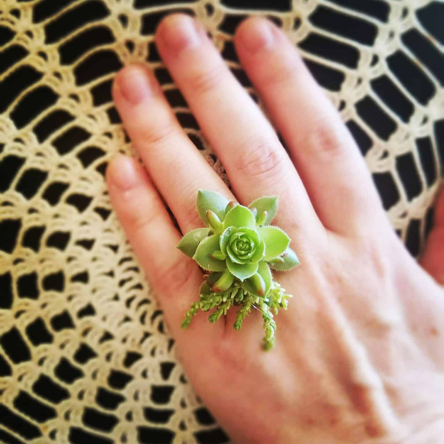 green succulent ring