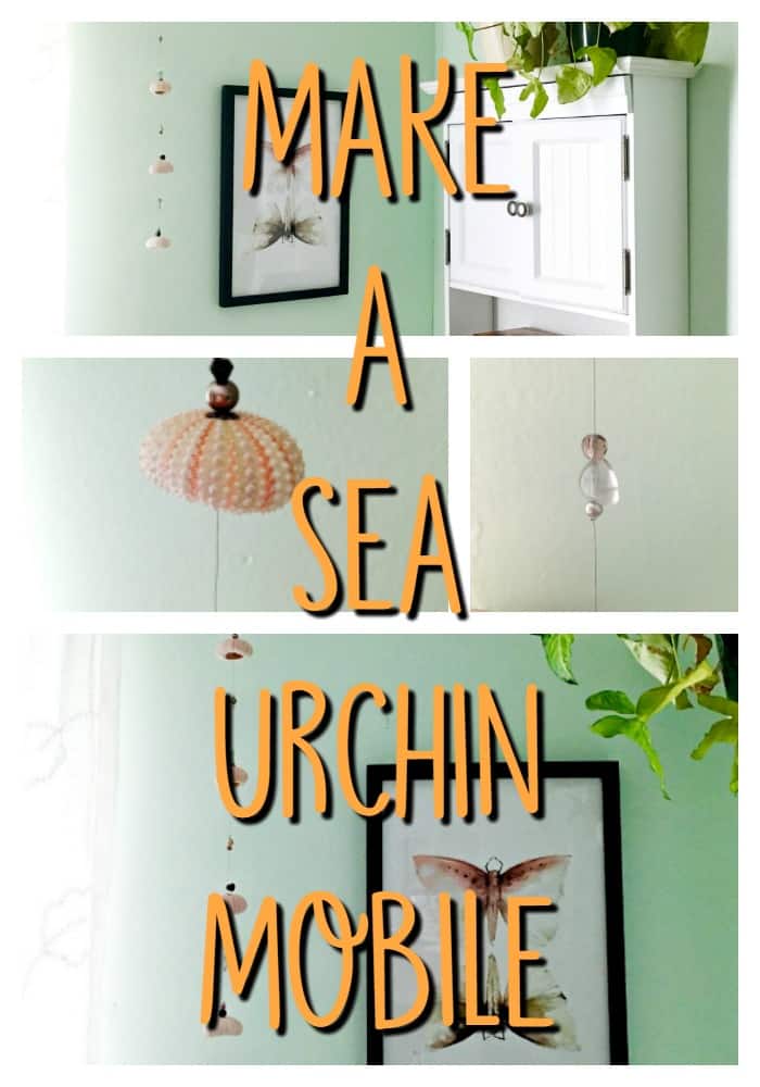 sea urchin mobile n2