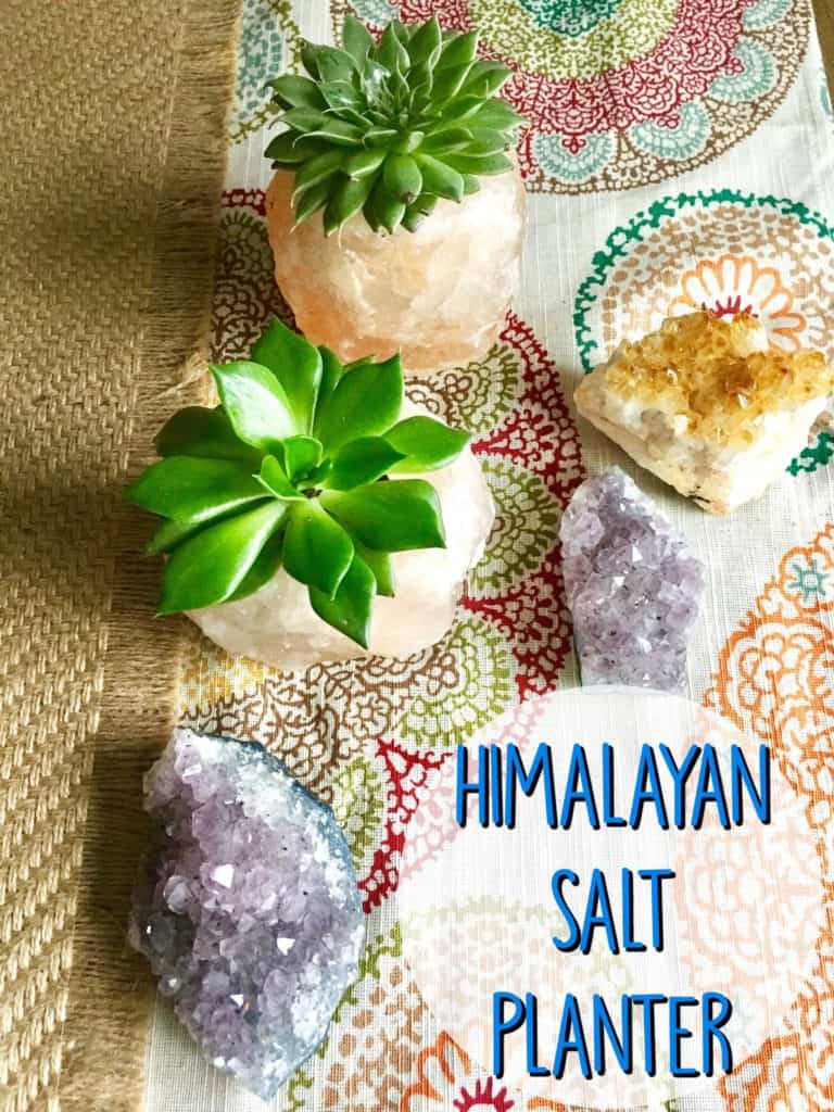 himalayan-salt-planter-pin