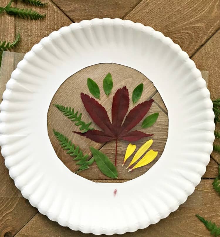 paper plate with hole in middle and leaves arranged in the hole