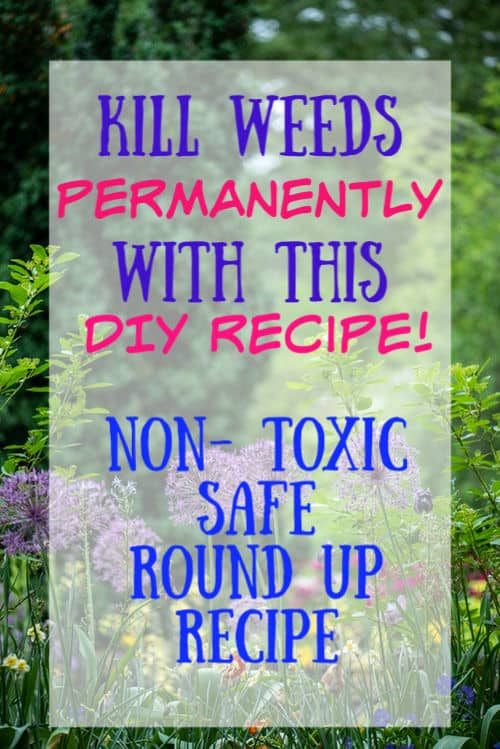 kill weeds permanently 