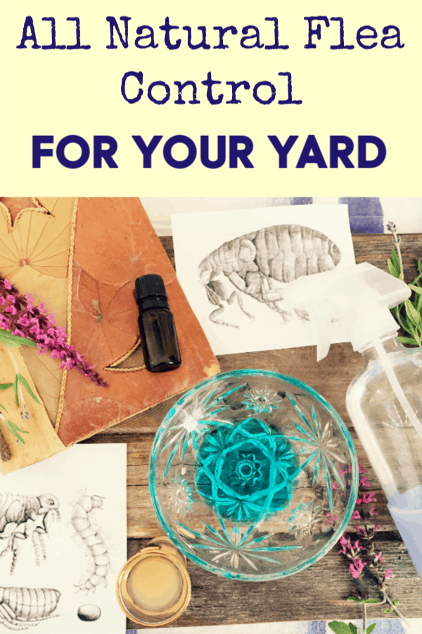 how to kill fleas in your yard