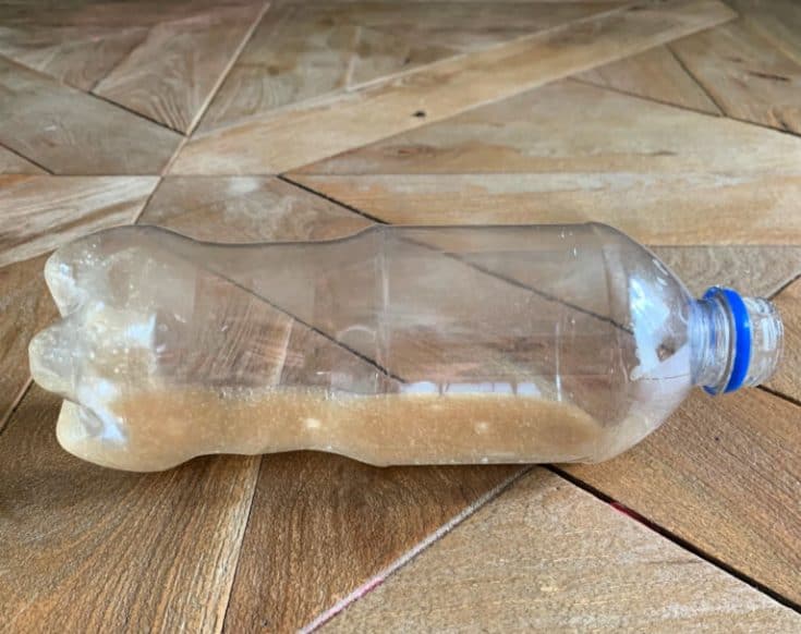 Ant trap made with a water bottle