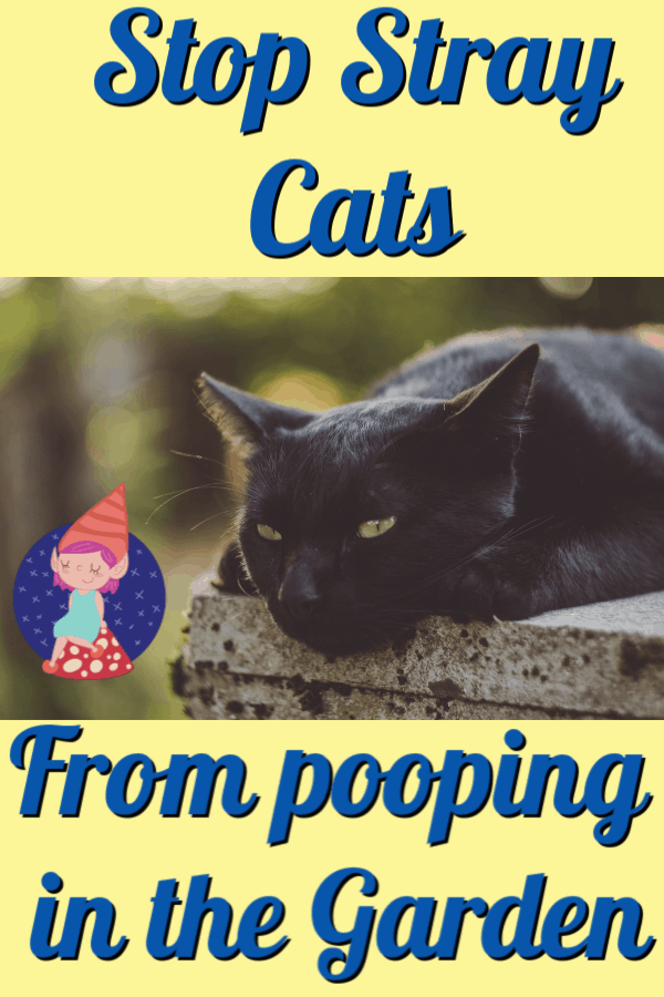 How to Make a Homemade Cat Repellent Home Remedies for Repelling Cats