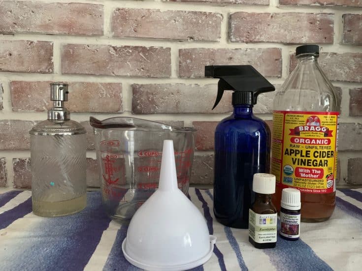 ingredients for DIY spider repellent