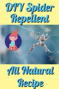 diy spider repellent