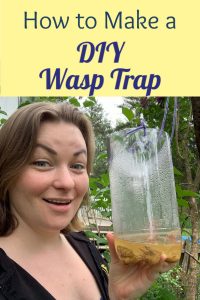 diy wasp trap