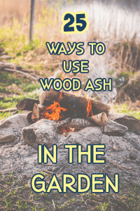 wood ash