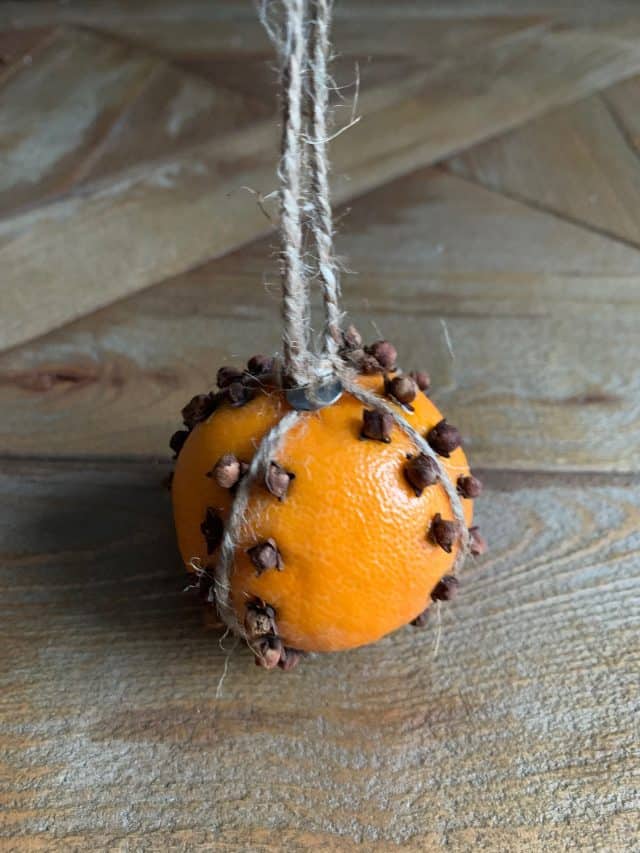 Clove Studded Orange