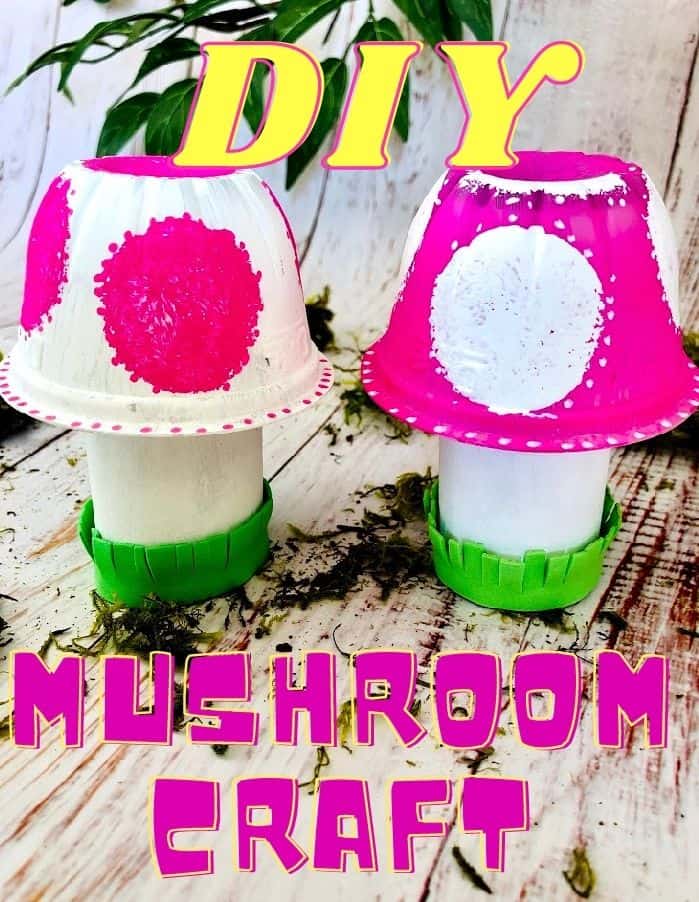 diy mushroom craft pin image