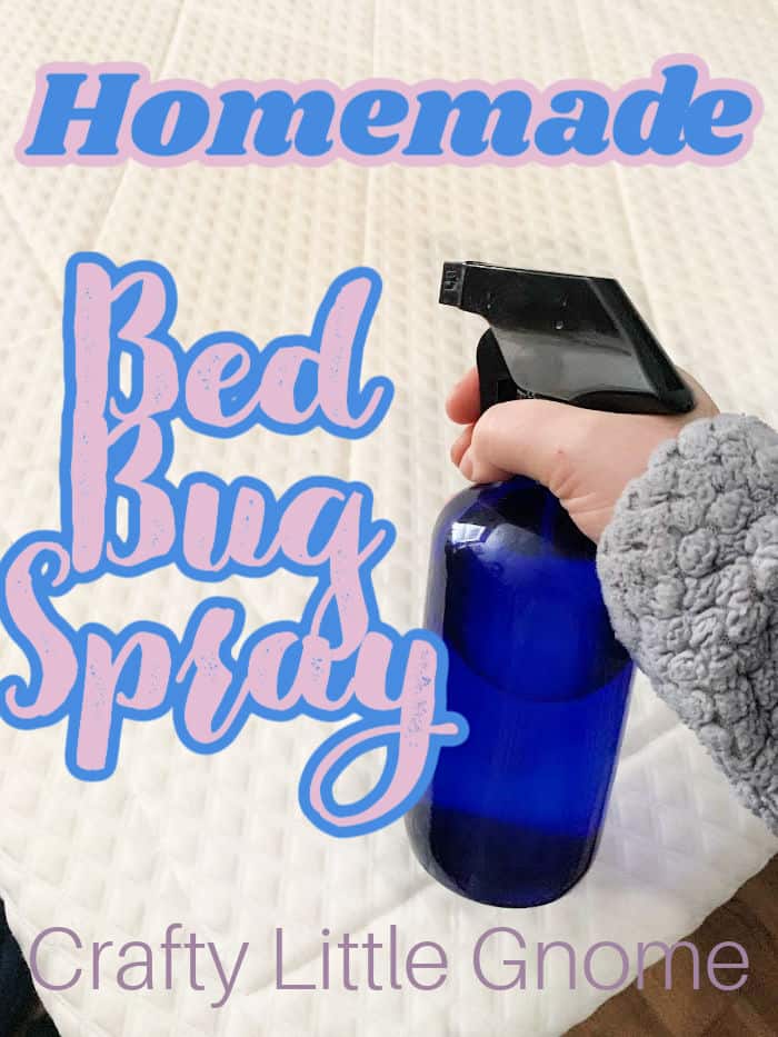 How to make bed bug spray