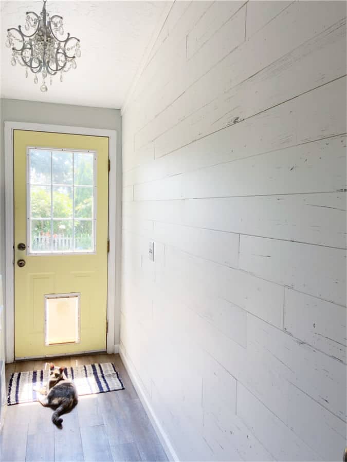 Room with white wall planks and cat laying in front of a yellow door. 