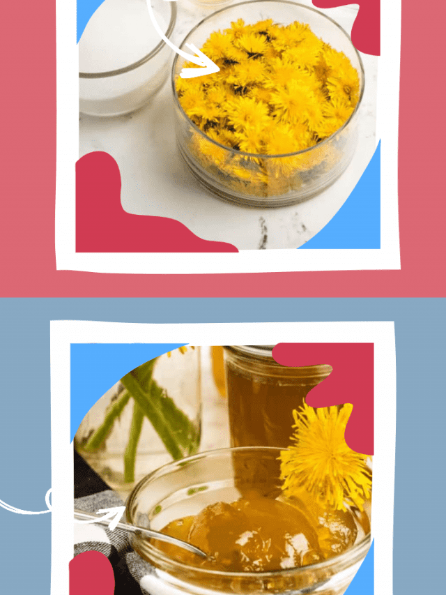 How To Make Dandelion Jam