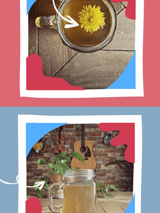 Dandelion Root Tea Recipe- Make Tea From Garden Weeds - Crafty Little Gnome