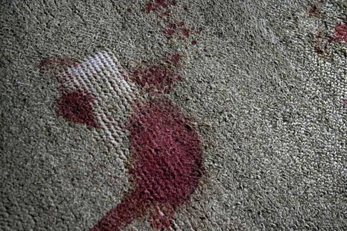 Blood stains on a beige carpet