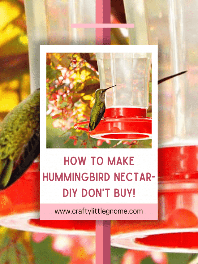 How to Make Hummingbird Nectar-DIY Don't Buy