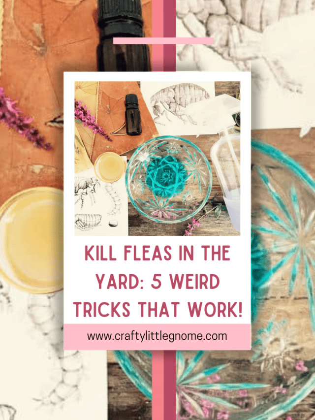 Kill Fleas in the Yard: 5 Weird Tricks that Work