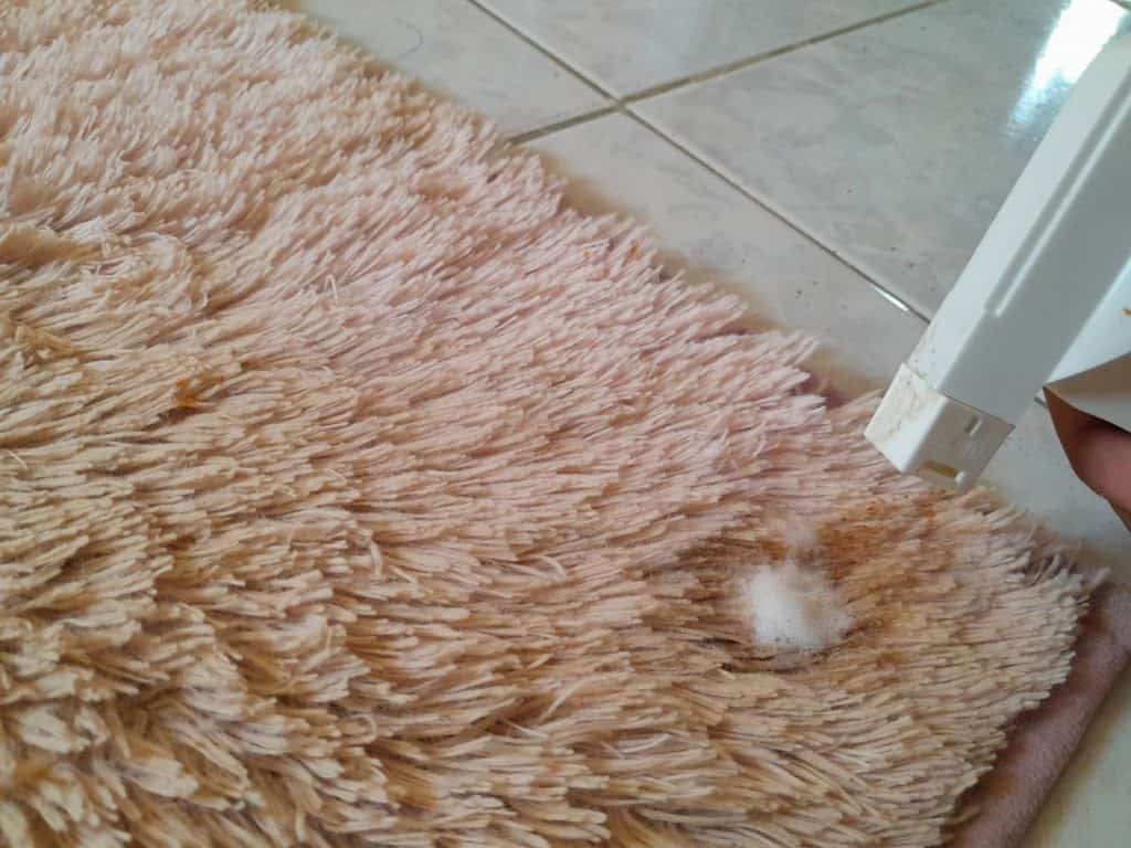 How to clean shag rug.