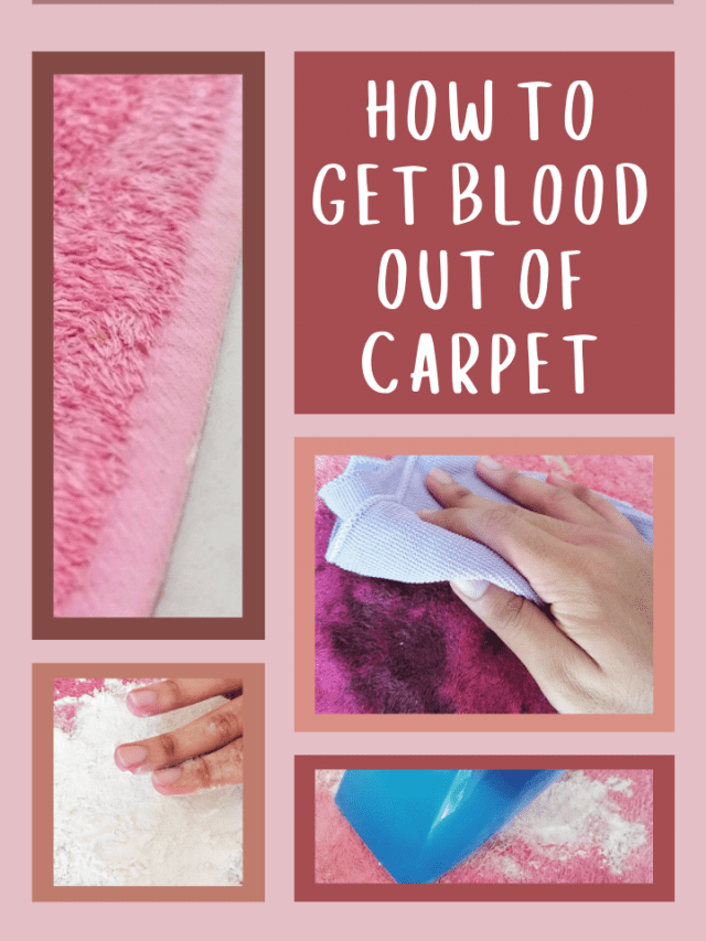 How to Get Blood Out of Carpet