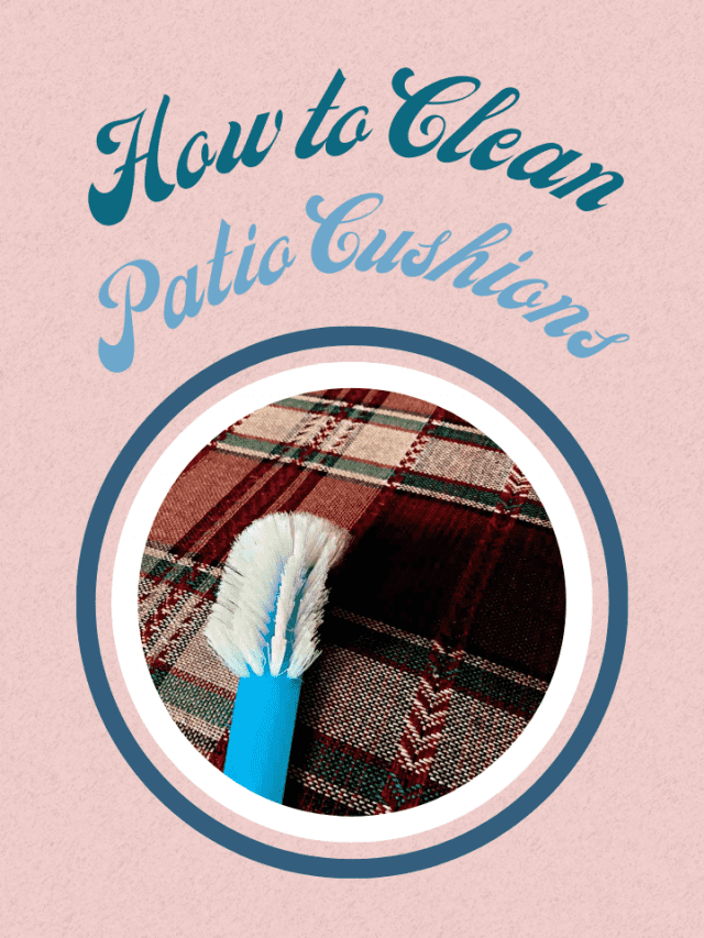 HOW TO CLEAN WINDOW SCREENS