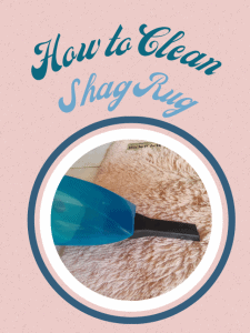 How to clean shag rug poster image.
