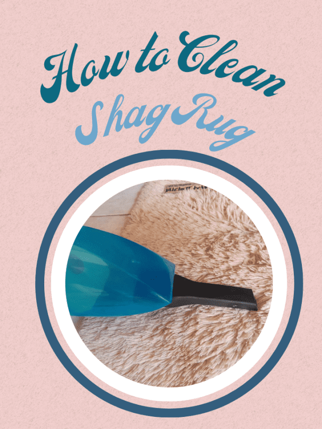 HOW TO CLEAN SHAG RUG
