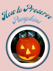 How to preserve pumpkins poster image.