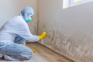 How To Clean Mold Off Walls
