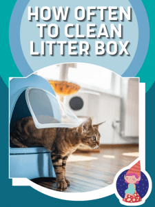 How to clean litter box poster image.