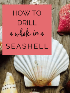 Learn how to drill a hole in a seashell with this tutorial using a small hand drill or dremel.