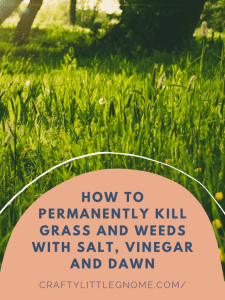 cropped-How-to-Permanently-Kill-Grass-and-Weeds-with-Salt-Vinegar-and-Dawn-Poster-Image-1.png