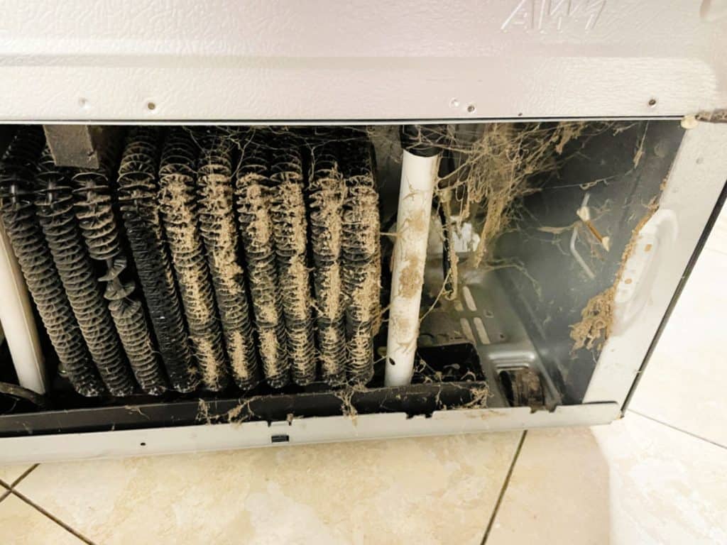 Dirty fridge coils that need to be cleaned. 