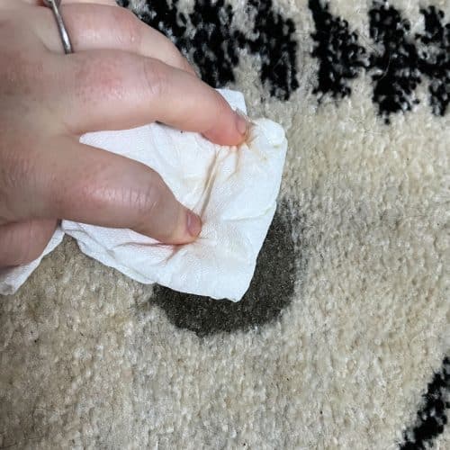 How To Get Oil Out Of Carpet Crafty Little Gnome