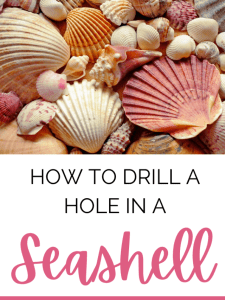 How to Drill a Hole in a Seashell.
