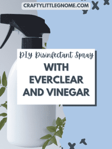 DIY Disinfectant Spray with Everclear and Vinegar.