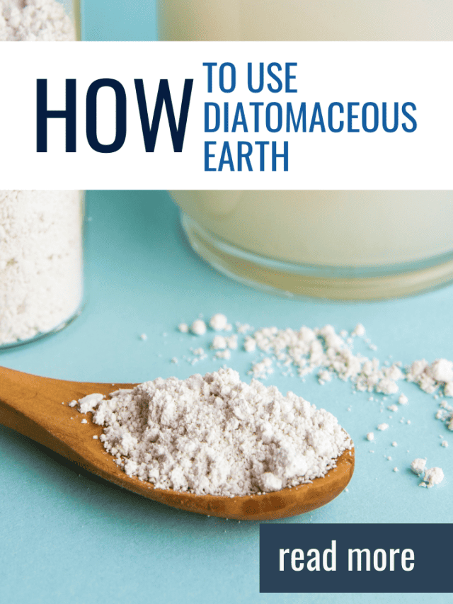 How to Use Diatomaceous Earth: All You Need to Know