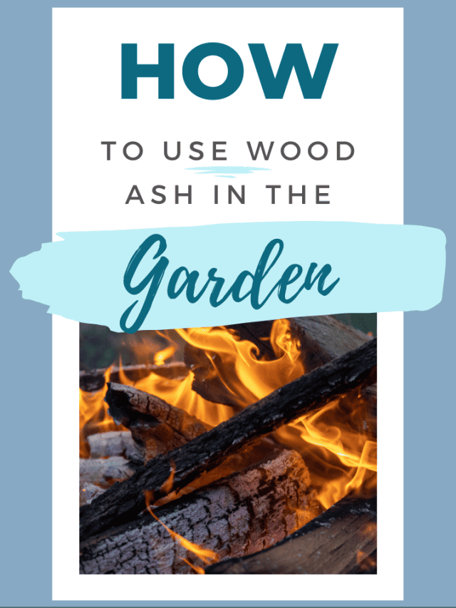 How to Use Wood Ash in the Garden