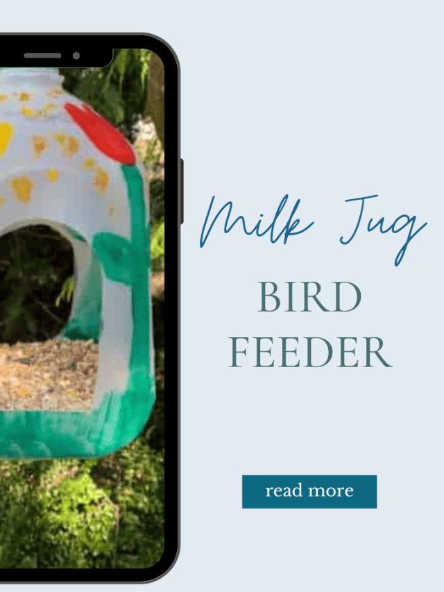 Milk Jug Bird Feeder