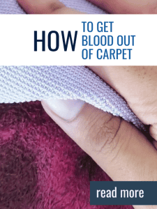 Get Blood Out Of Carpet.