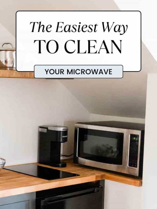 The easiest way to clean your microwave Crafty Little Gnome
