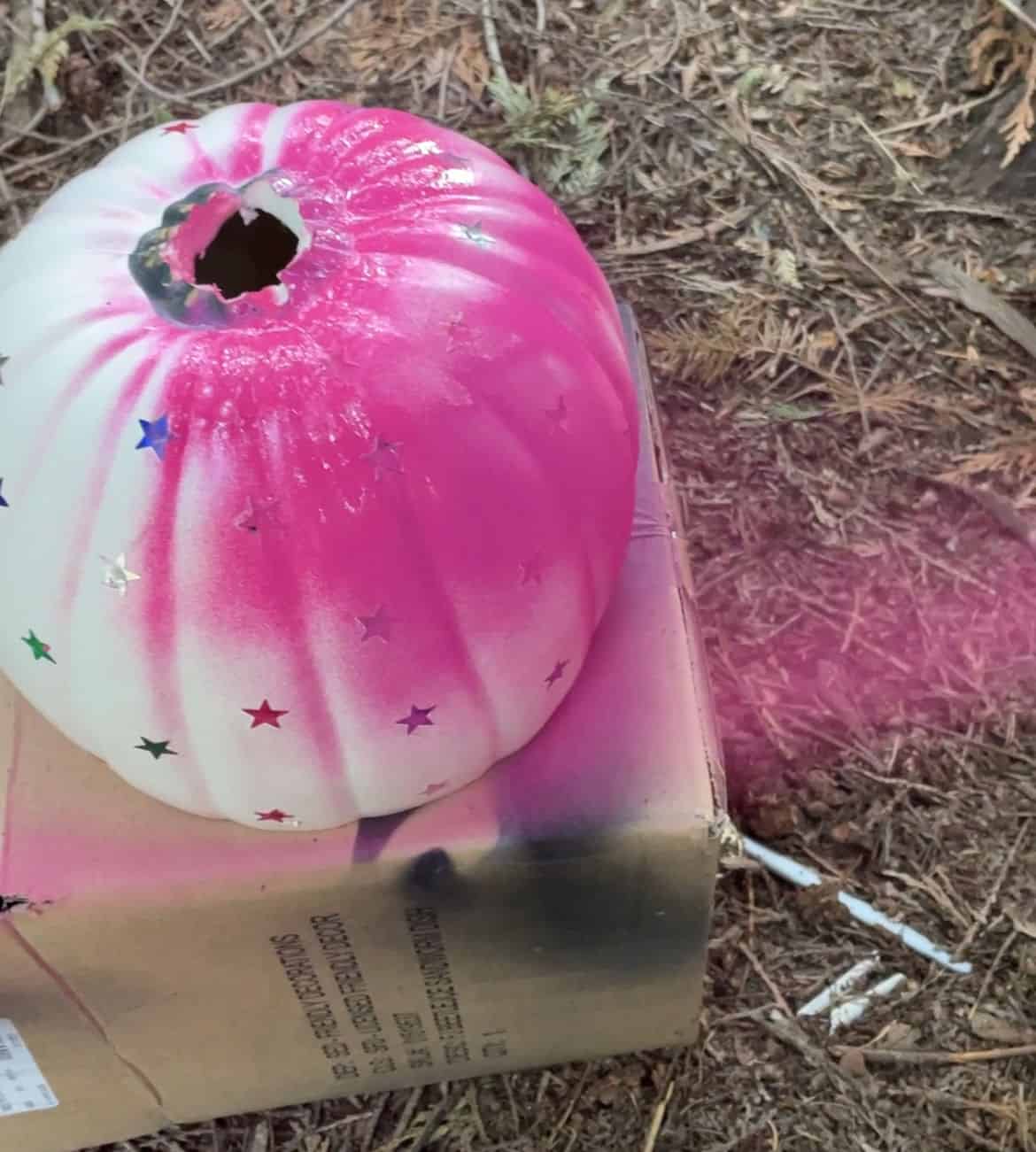 Spray paintin a craft pumpkin Barbie pink.