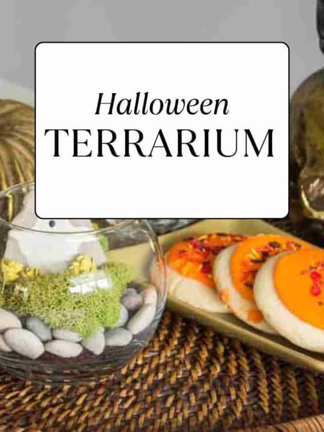 Halloween Terrarium