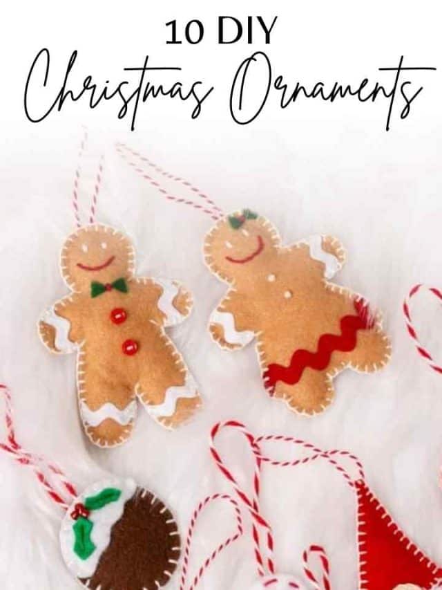 10 DIY Christmas Ornaments