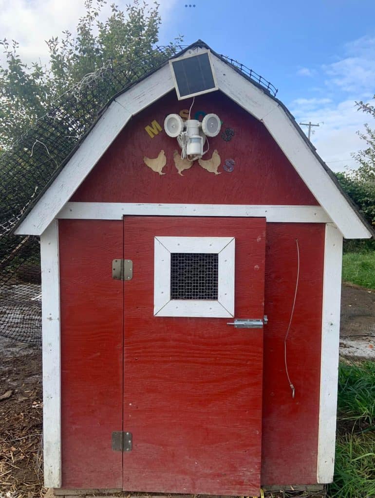 Residential chicken coop painted to look like a red barn. 