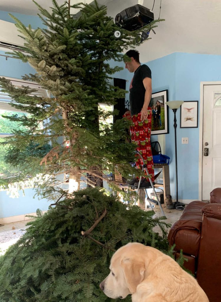 Man cutting down branches from Christmas tree indoors 