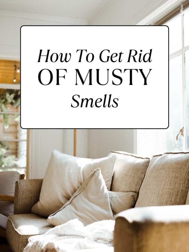 How to Get Rid of Musty Smells